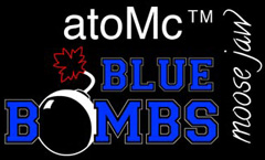 Hockey Team Logo